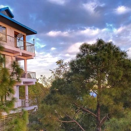 Terrace Retreat Bed & Breakfast Kasauli Dış mekan fotoğraf